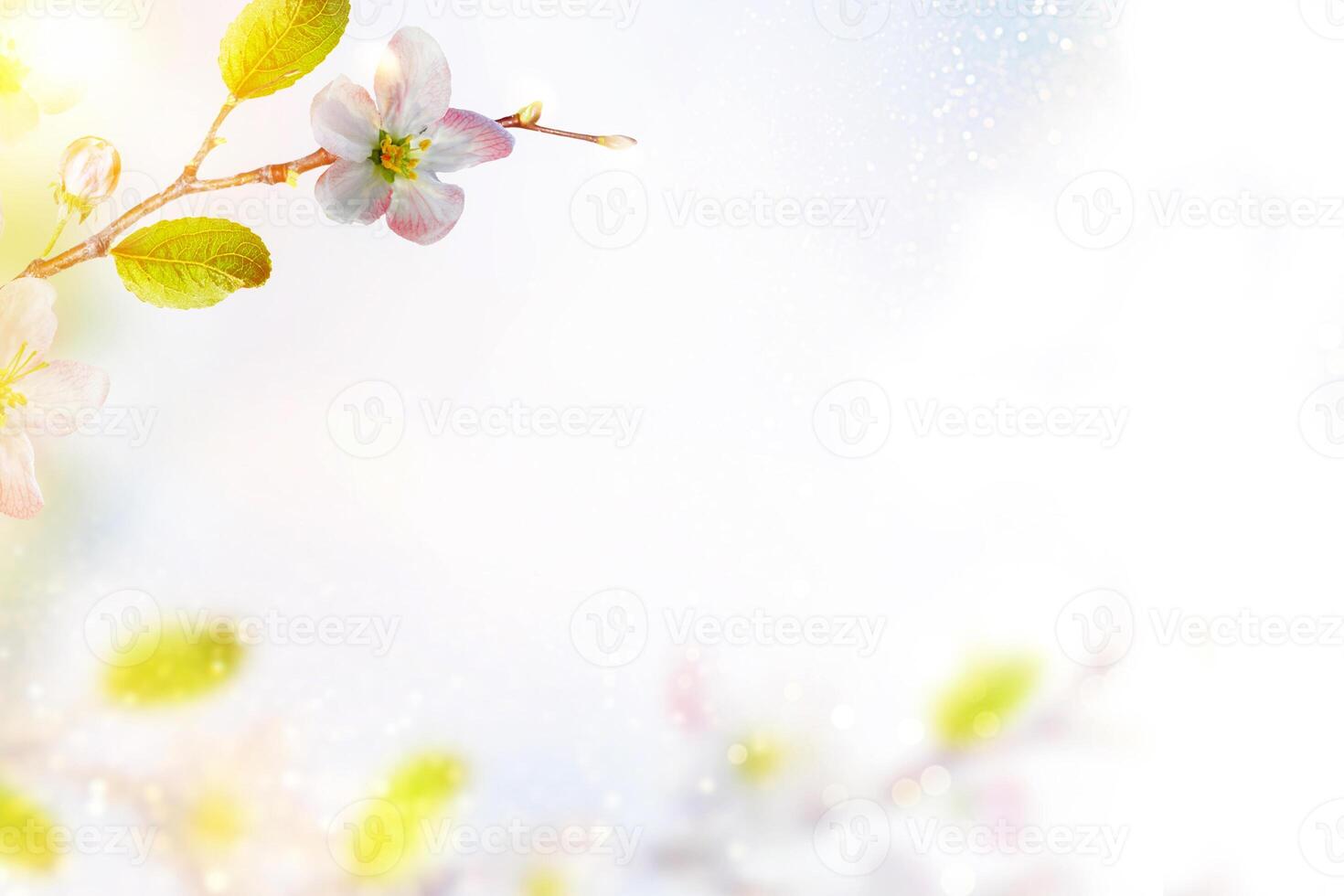 blühen Ast Apfel. Frühling Blumen foto