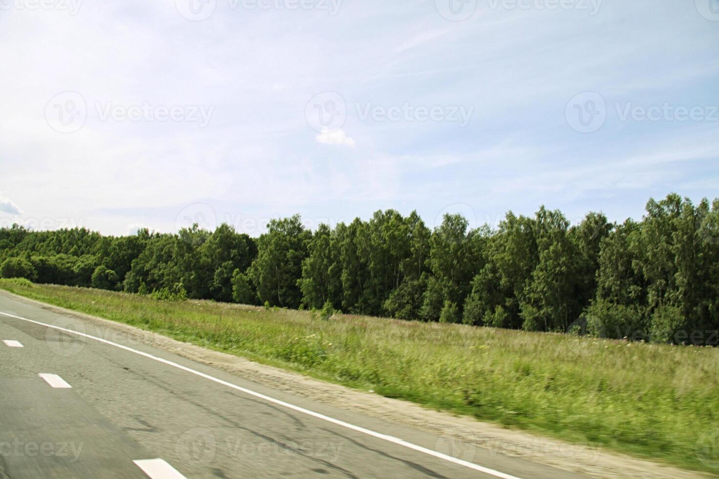 Straße in der Nähe von Wald foto