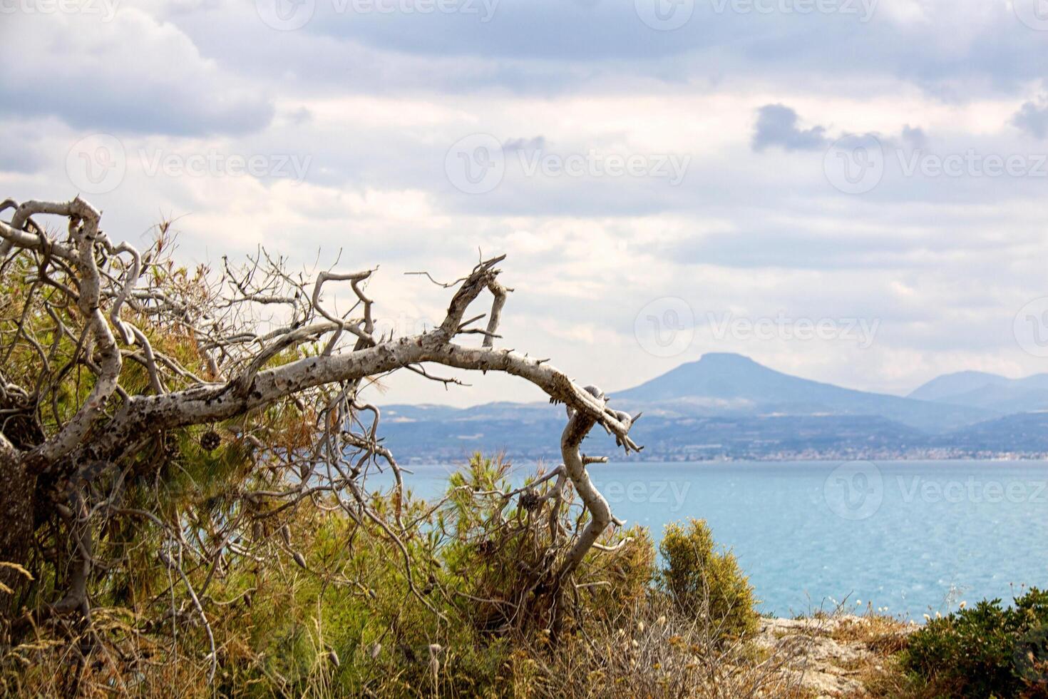 schön Meer Küste im Griechenland foto