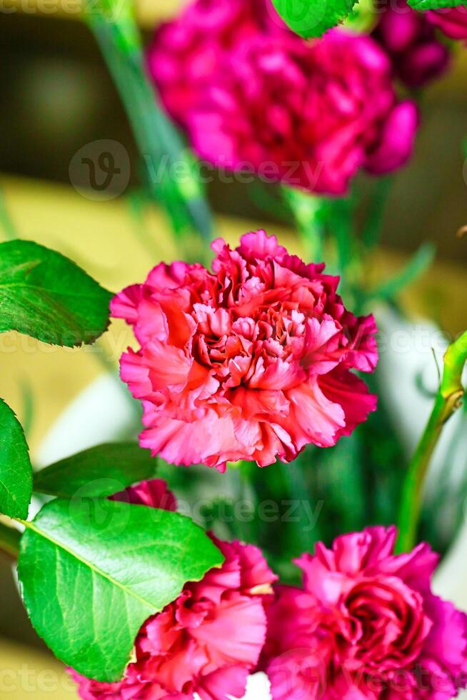 Weiß Vase überfüllt mit Rosa und rot Blumen foto