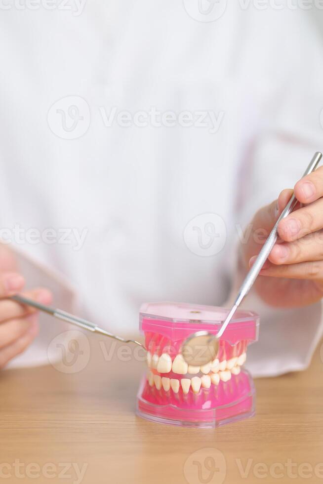 Zahnarzt mit Zahn Anatomie Modell. Oral Zähne und Krankheit, kratzen aus Zahnstein. März Oral Gesundheit, Zahnarzt Tag, falsch Zähne. Zahnschmerzen und Kinder Dental Gesundheit Monat und kieferorthopädisch Gesundheit Tag foto