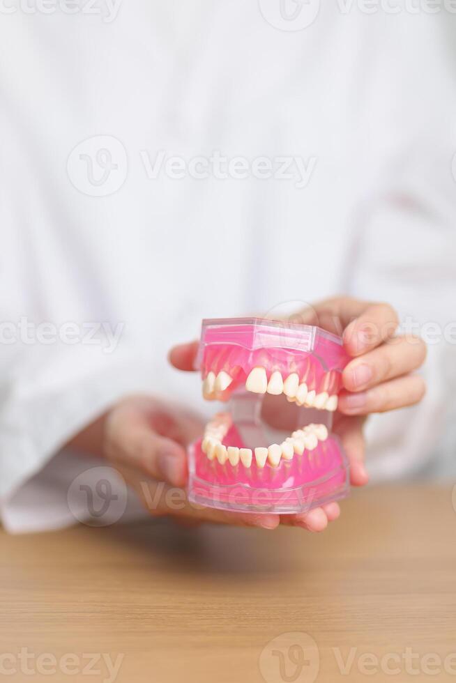 Zahnarzt mit Zahn Anatomie Modell. Oral Zähne und Krankheit, kratzen aus Zahnstein. März Oral Gesundheit, Zahnarzt Tag, falsch Zähne. Zahnschmerzen und Kinder Dental Gesundheit Monat und kieferorthopädisch Gesundheit Tag foto