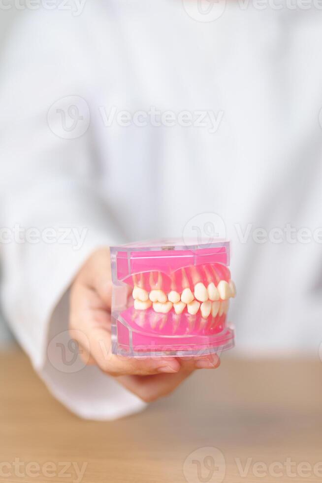 Zahnarzt mit Zahn Anatomie Modell. Oral Zähne und Krankheit, kratzen aus Zahnstein. März Oral Gesundheit, Zahnarzt Tag, falsch Zähne. Zahnschmerzen und Kinder Dental Gesundheit Monat und kieferorthopädisch Gesundheit Tag foto