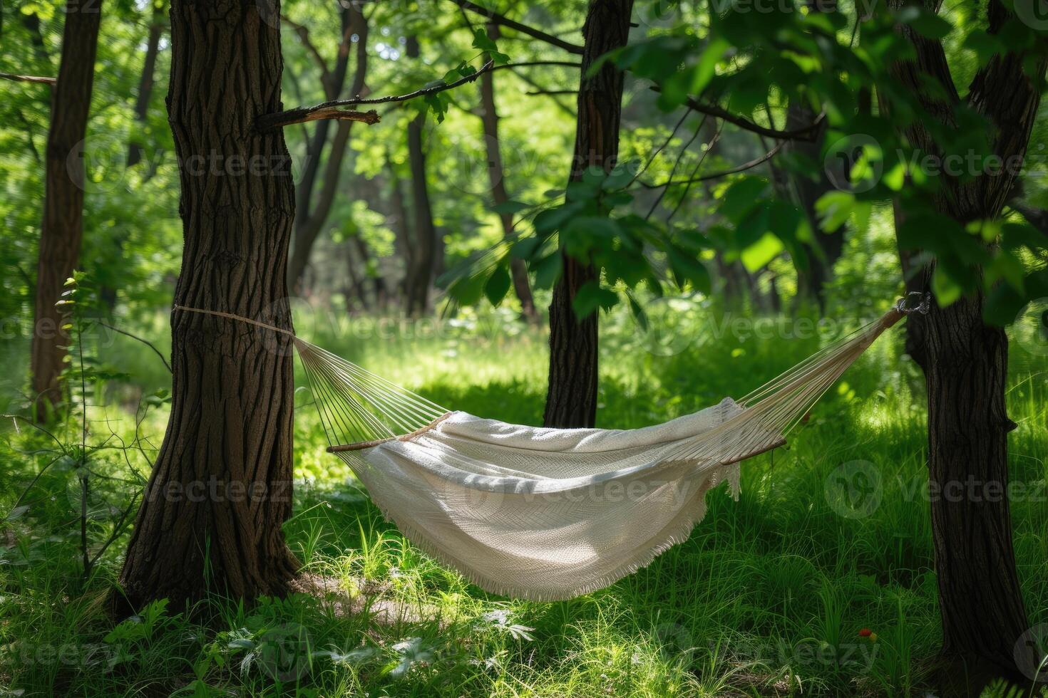 ai generiert bekommen gestartet mit Camping Hängematte Fachmann Fotografie foto