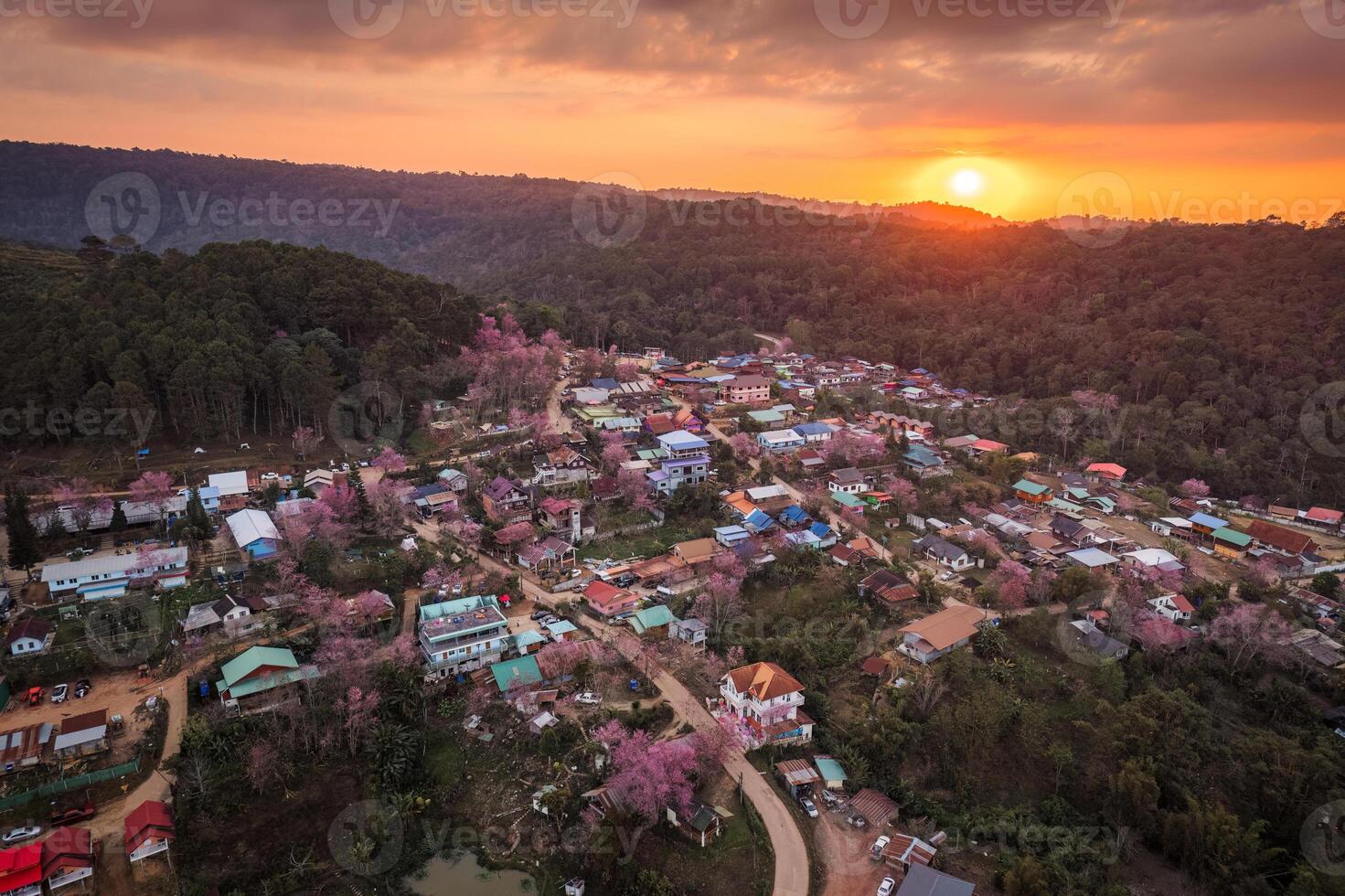 Sonnenuntergang Über thailändisch Stamm Dorf mit wild Himalaya Kirsche Baum Blühen im Landschaft beim Verbot rong kl foto