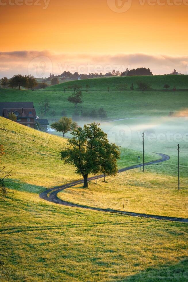 ländlich Szene mit gebogen Straße, Baum und klein Dorf im das Senke und nebelig Morgen beim Schweiz foto