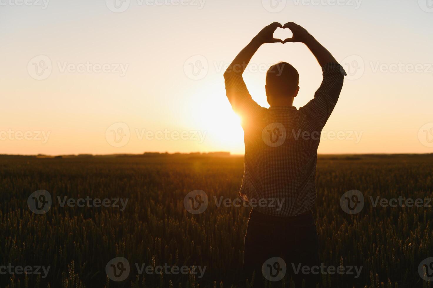 Mann Stand allein im Mitte von reif Weizen Feld. halten Hände oben und Finger im Herz Form. Ernte Zeit im spät Sommer- oder früh Herbst. Farmer Agronom unter Weizen foto