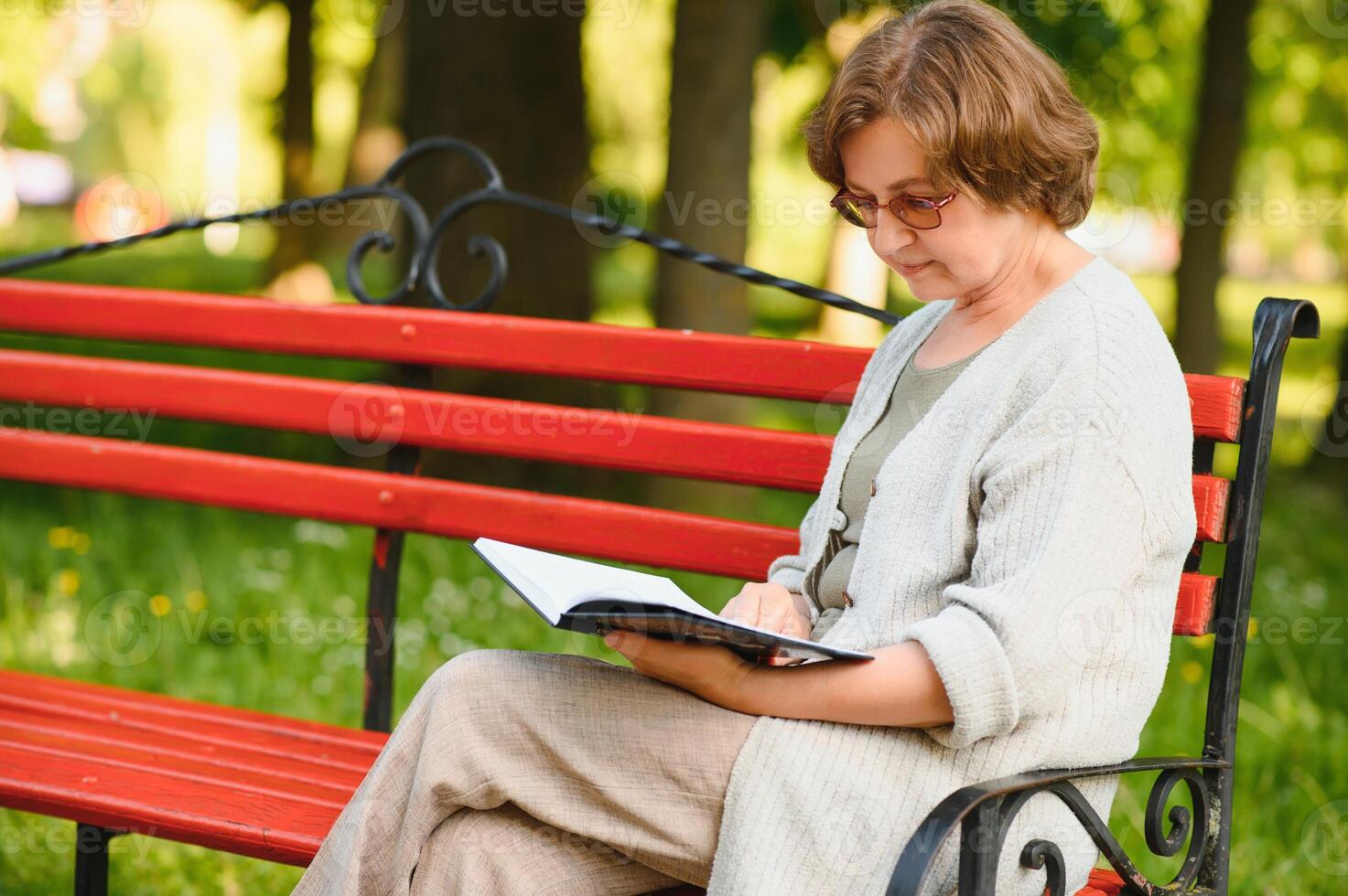 im Ruhestand Frau lesen ein Buch auf das Bank foto