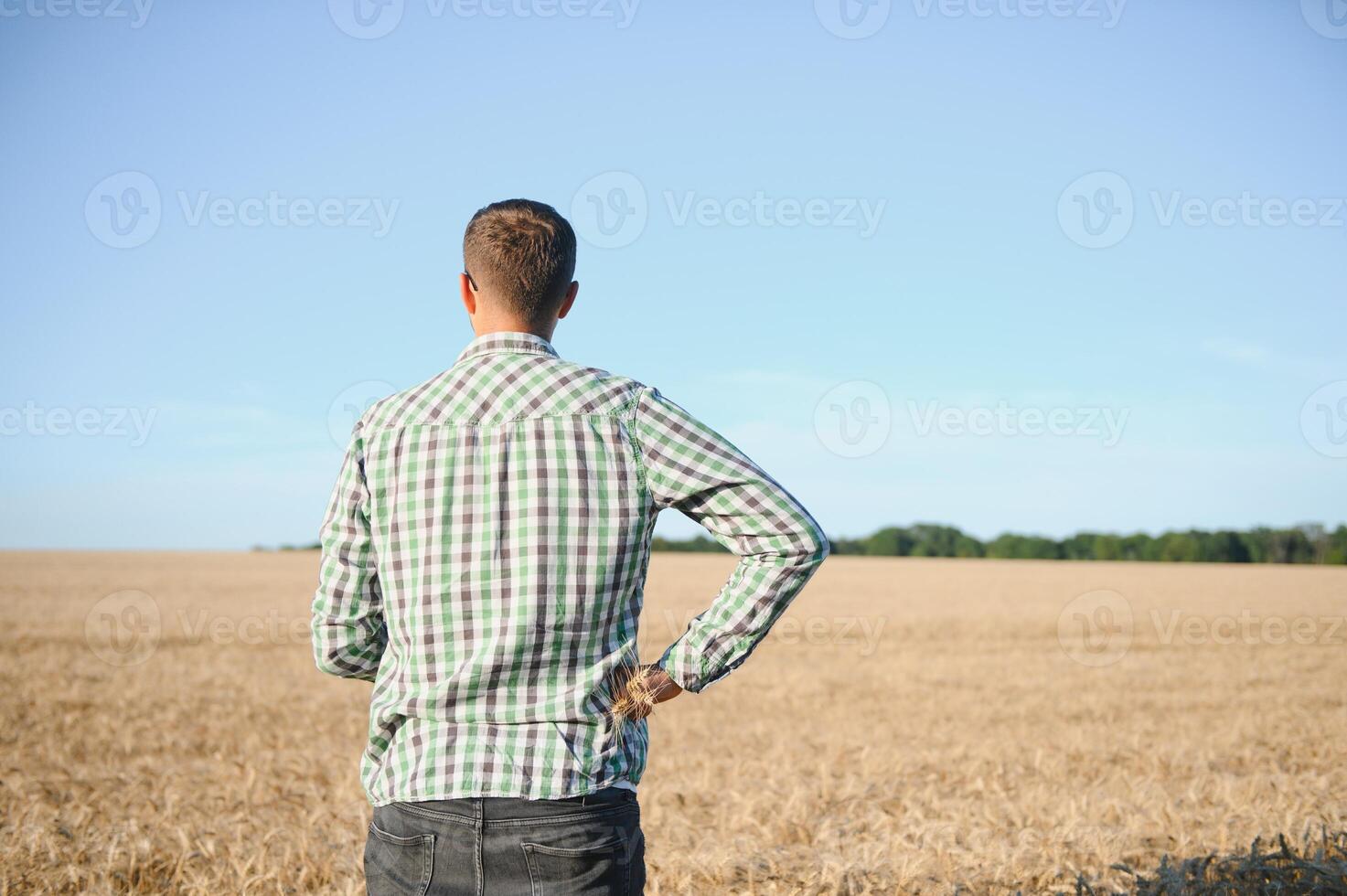 jung Agronom im Korn Feld. Müsli Landwirtschaft foto