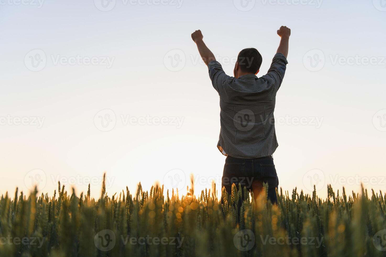 Sonnenaufgang oder Sonnenuntergang Bild von Kerl mit angehoben Hände suchen beim Sonne und genießen Tageszeit. Erwachsene Mann Stand allein im Mitte von reif Weizen Feld. Farmer oder landwirtschaftlich Kerl foto