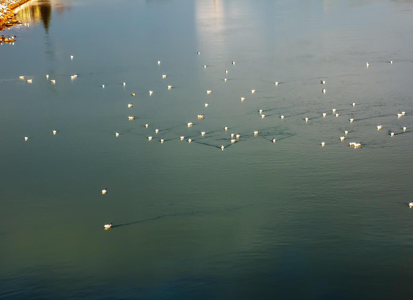 Hintergrund von das Wasser Oberfläche von das salzach Fluss. Textur von Wasser von ein Berg Fluss. foto