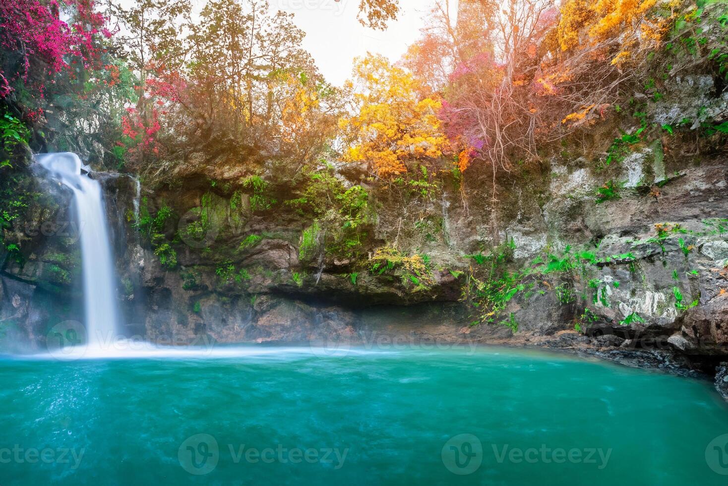 tolle im Natur, schön Wasserfall beim bunt Herbst Wald im fallen Jahreszeit foto