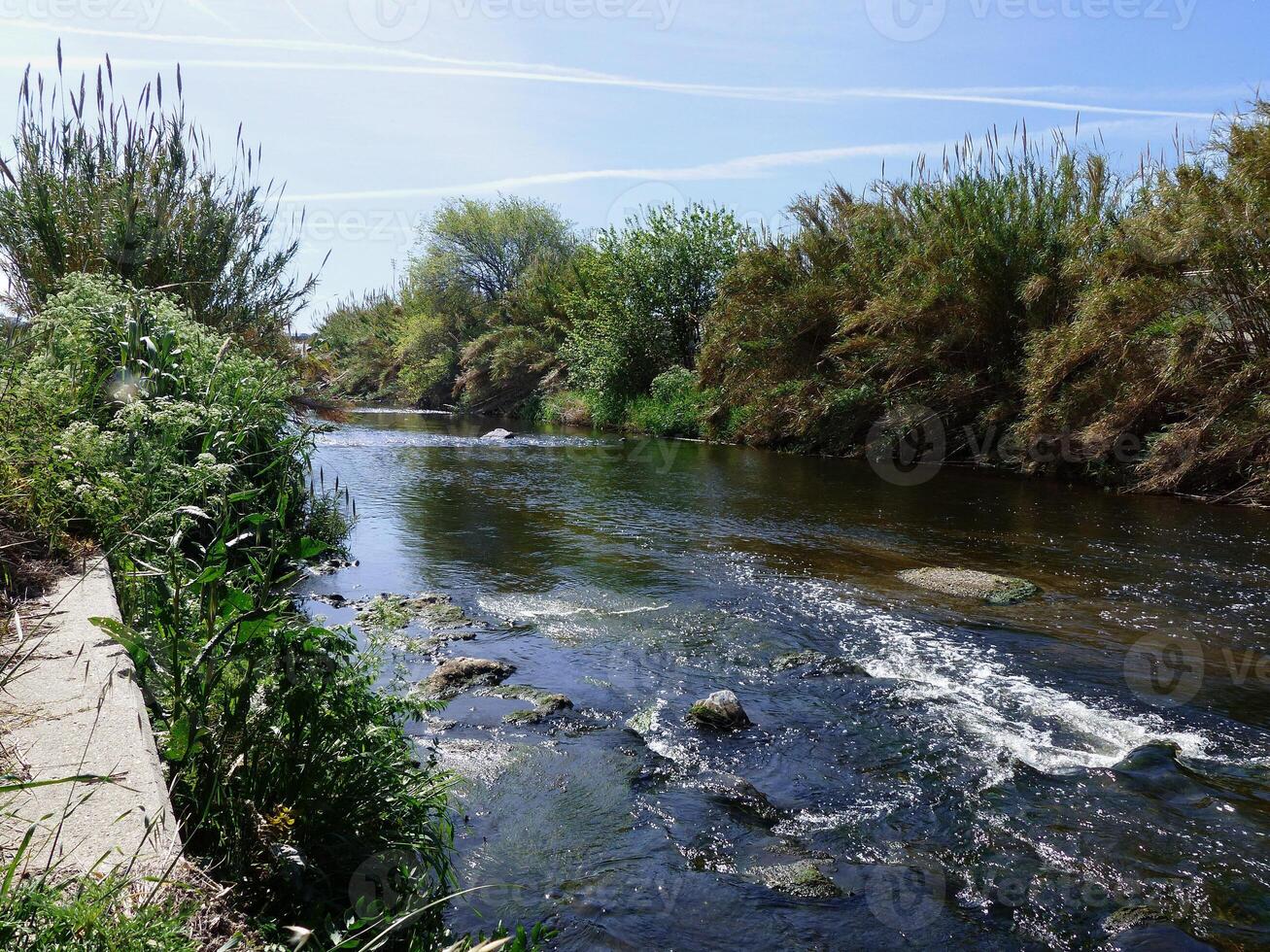 Landschaft mit städtisch Fluss im das Stadt Park foto