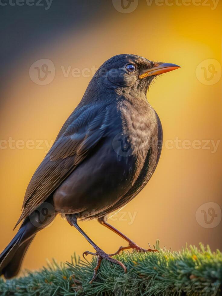 ai generiert schwarz Krähe foto