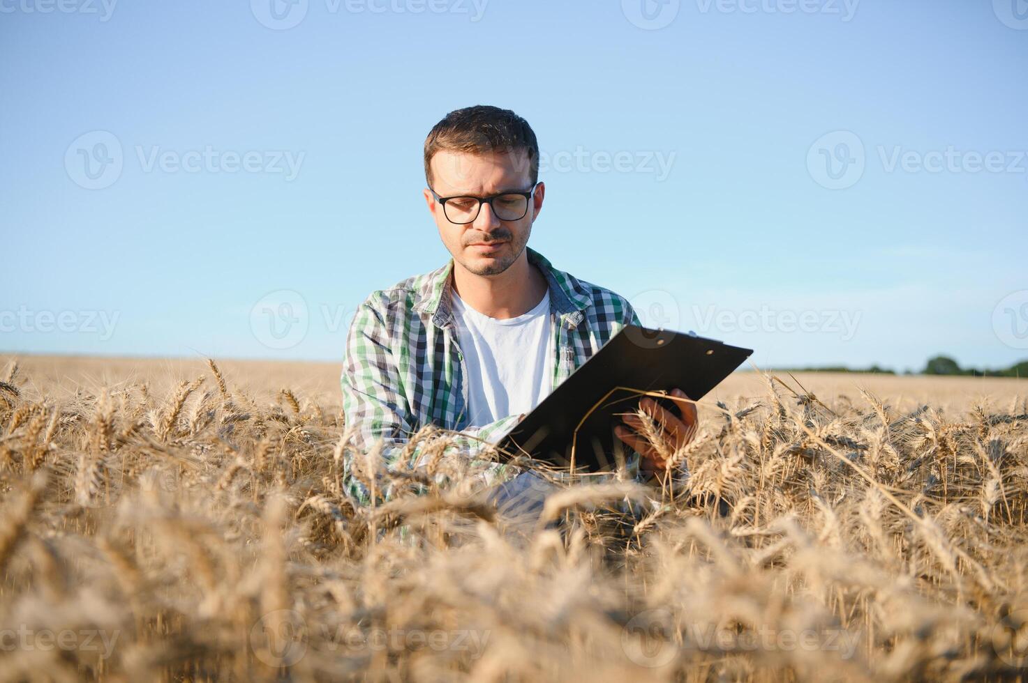 Farmer ist Stehen im seine wachsend Weizen Feld. er ist Prüfung Pflanzen nach Aussaat. foto