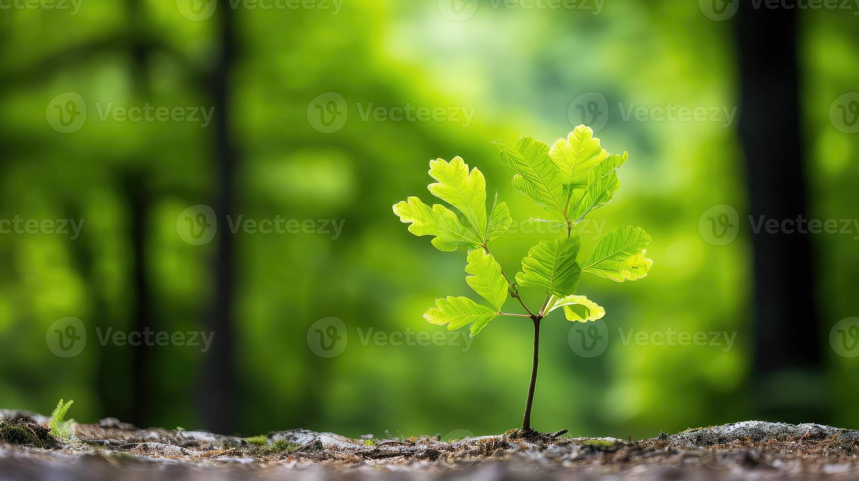 ai generiert jung Eiche Setzling ai generiert foto