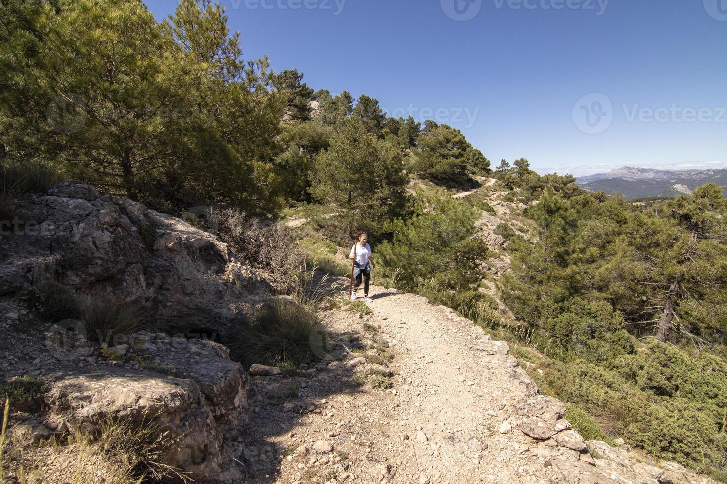 kaukasisch reifen Frau Wandern durch das schön Natur von das Sierra de Cazorla, jaen, Spanien. foto