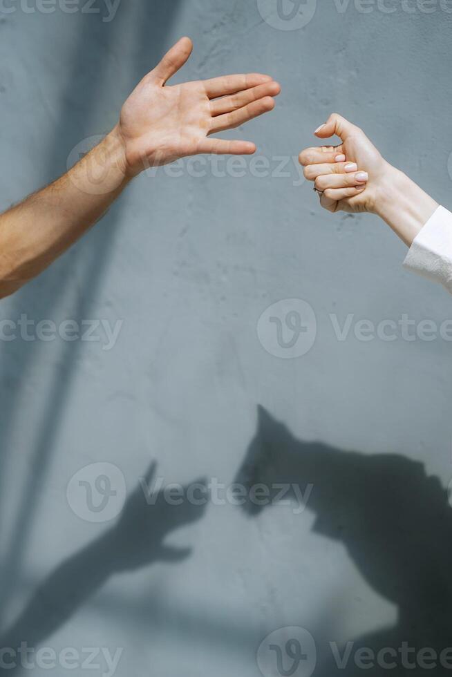Schatten Markierungen auf das Mauer Silhouetten von ein Hund und Katze foto