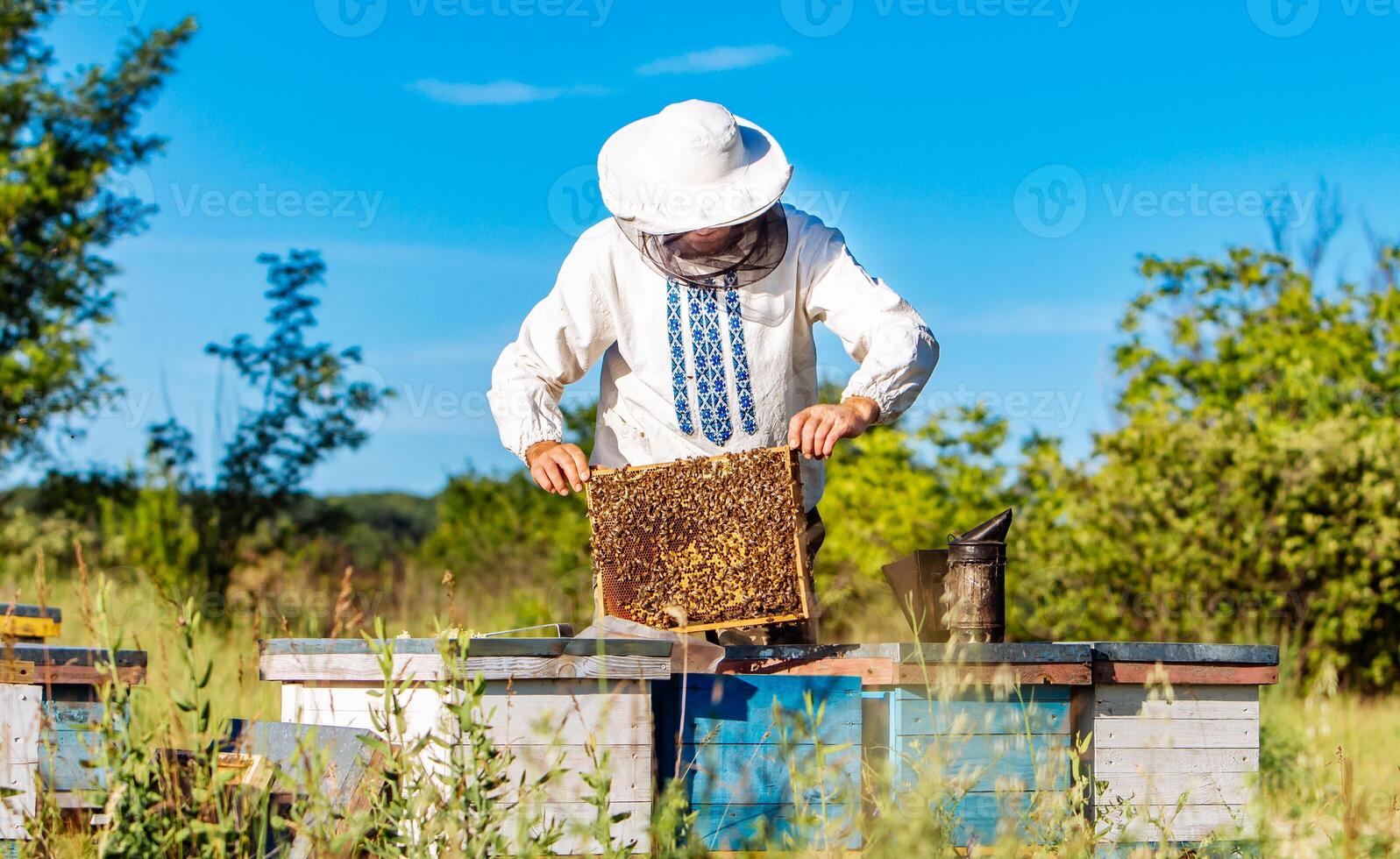 jung Imker Arbeiten im das Bienenhaus. Bienenzucht Konzept. Imker Ernte Honig foto