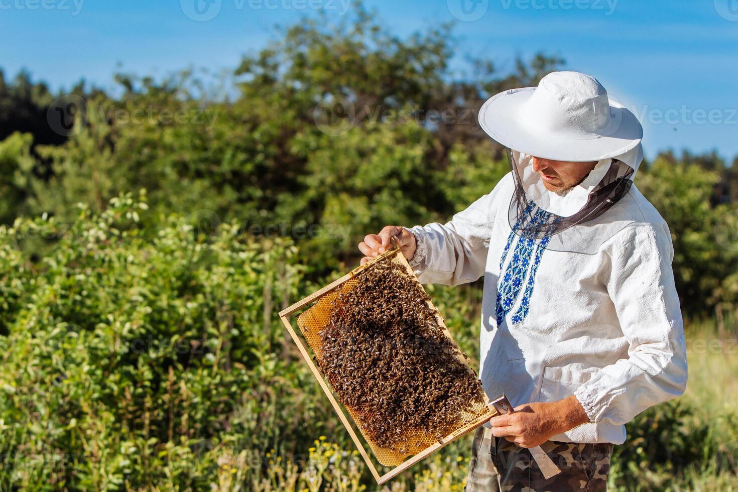 das Imker hält ein Honig Zelle mit Bienen im seine Hände. Imkerei. Bienenhaus foto