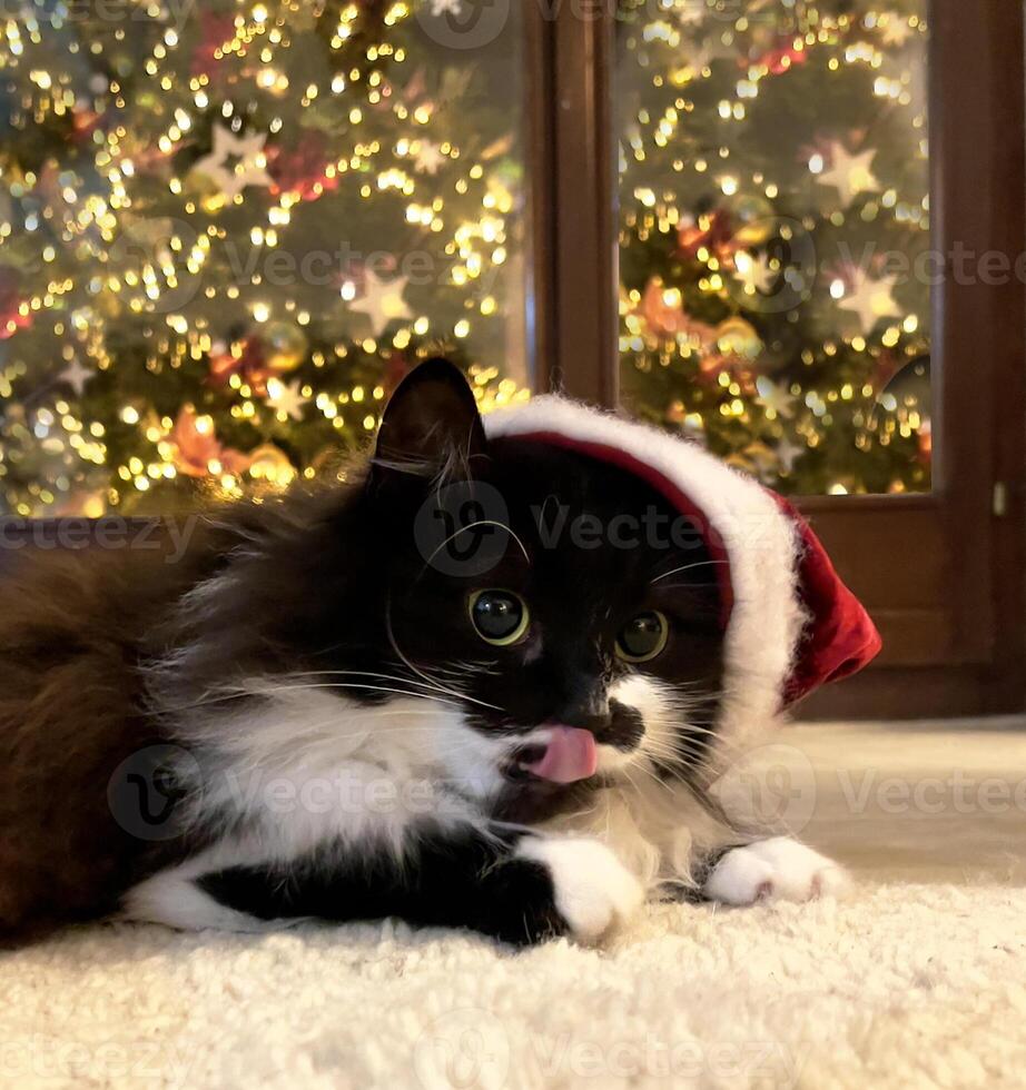 ein Katze tragen ein Santa Hut Verlegung auf das Fußboden foto