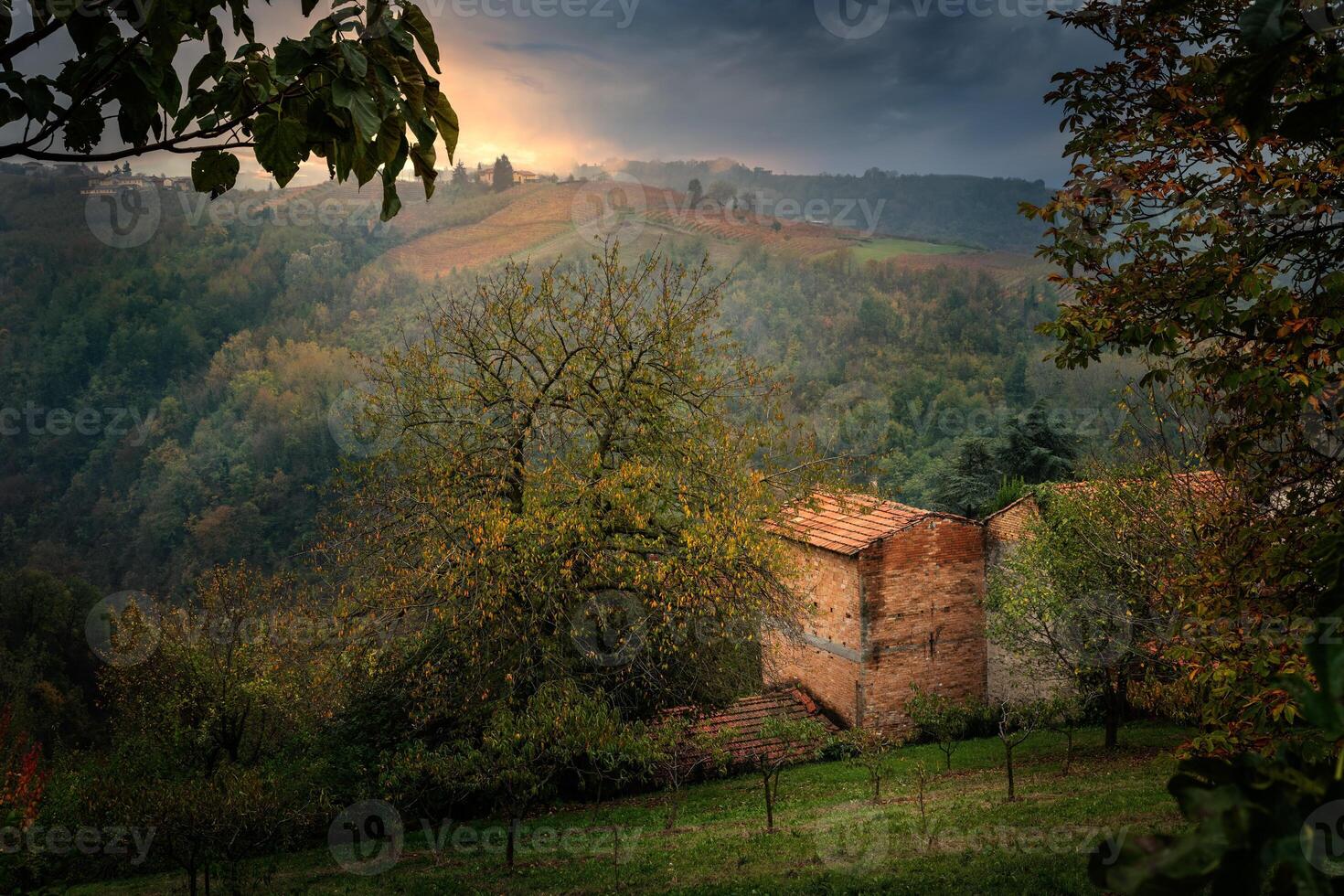Landschaft von Barolo Wein Region foto