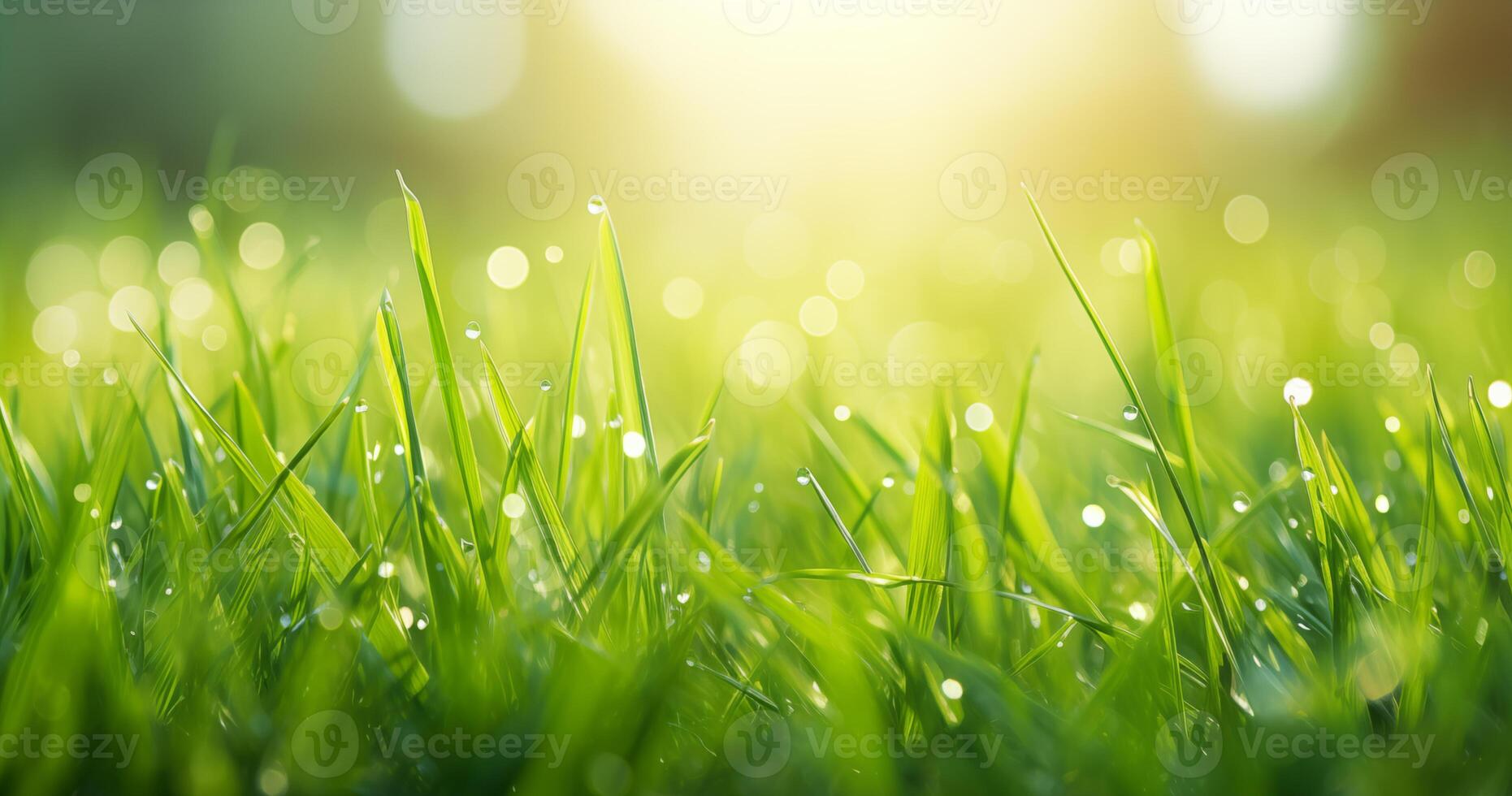 ai generiert schließen oben Grün Gras und Sonnenlicht Hintergrund foto