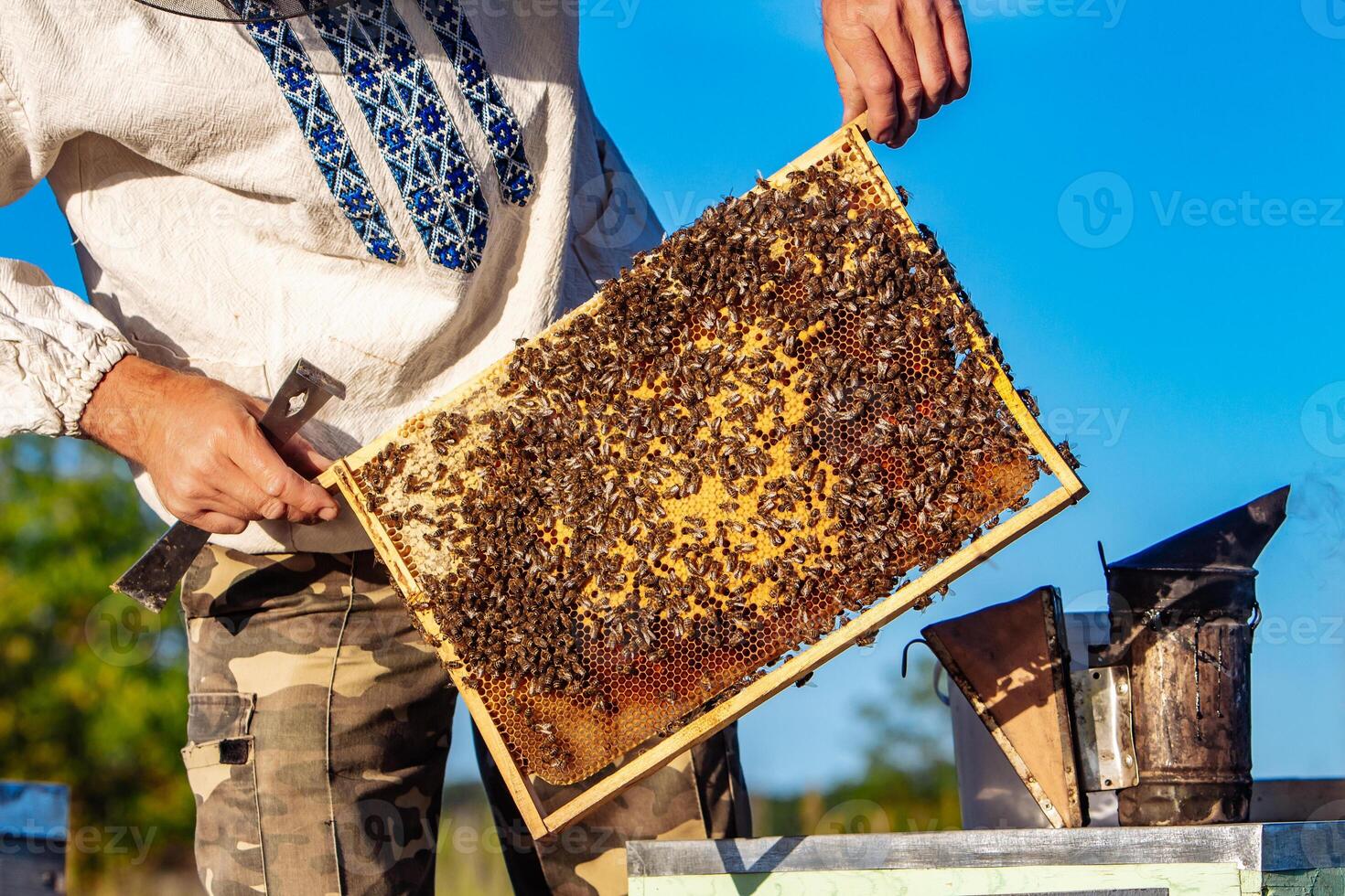 Hand von Imker ist Arbeiten mit Bienen und Bienenstöcke auf das Bienenhaus. Bienen auf Waben. Frames von ein Biene Bienenstock foto