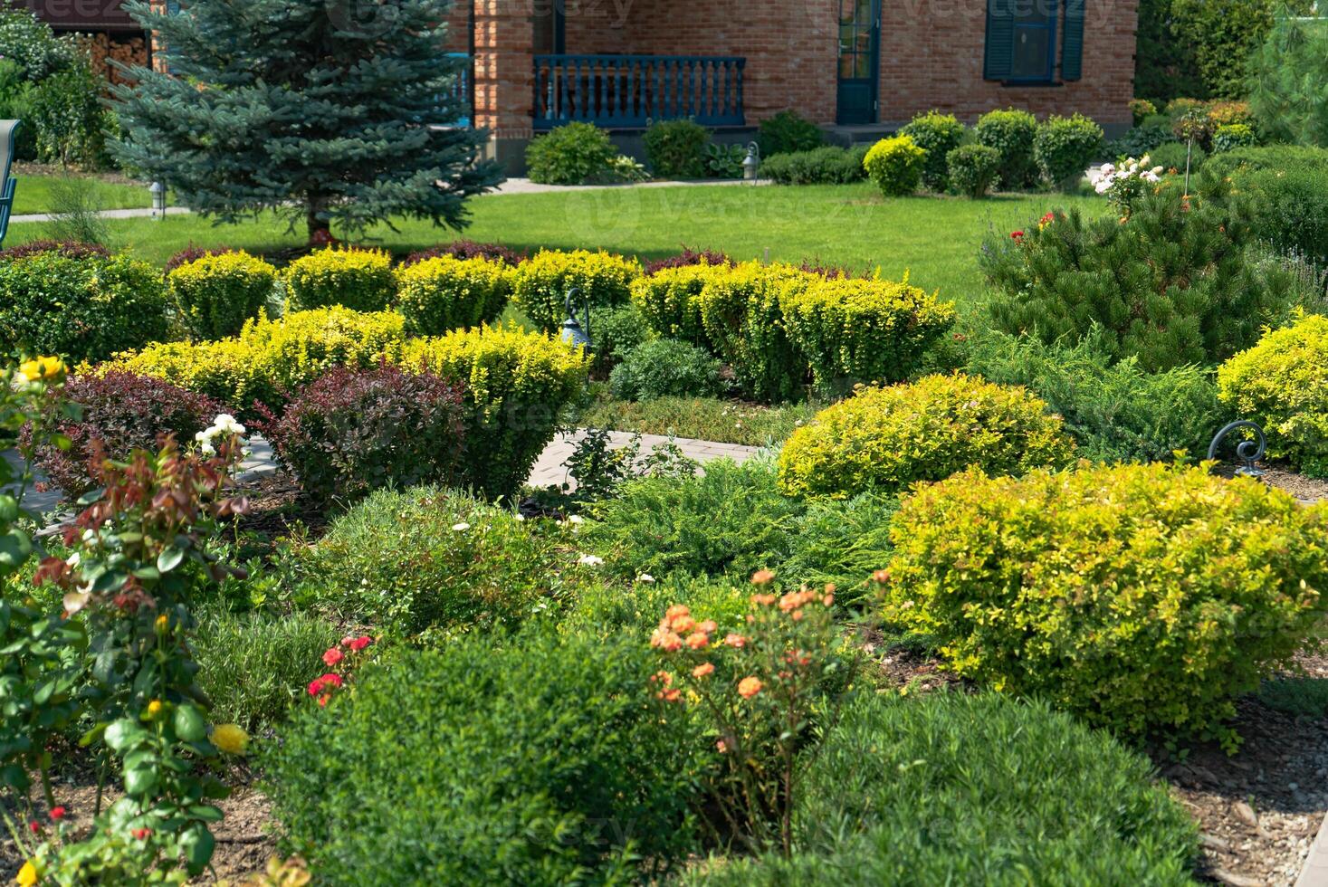 schön Landschaftsbau mit schön Pflanzen und Blumen foto