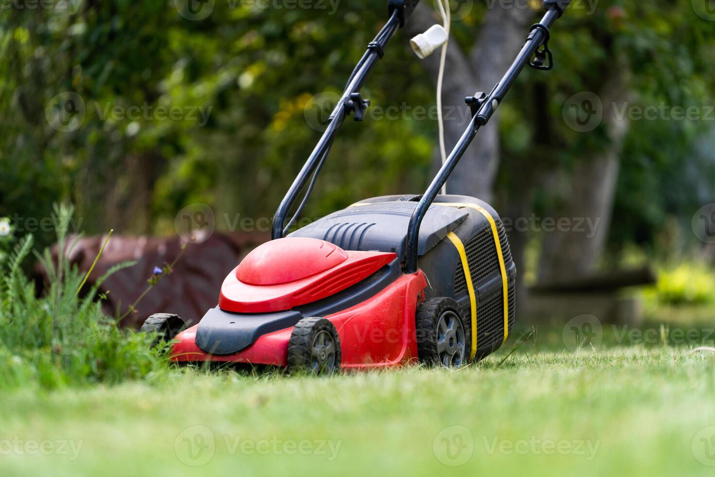 Rasen Mäher auf Grün Gras foto