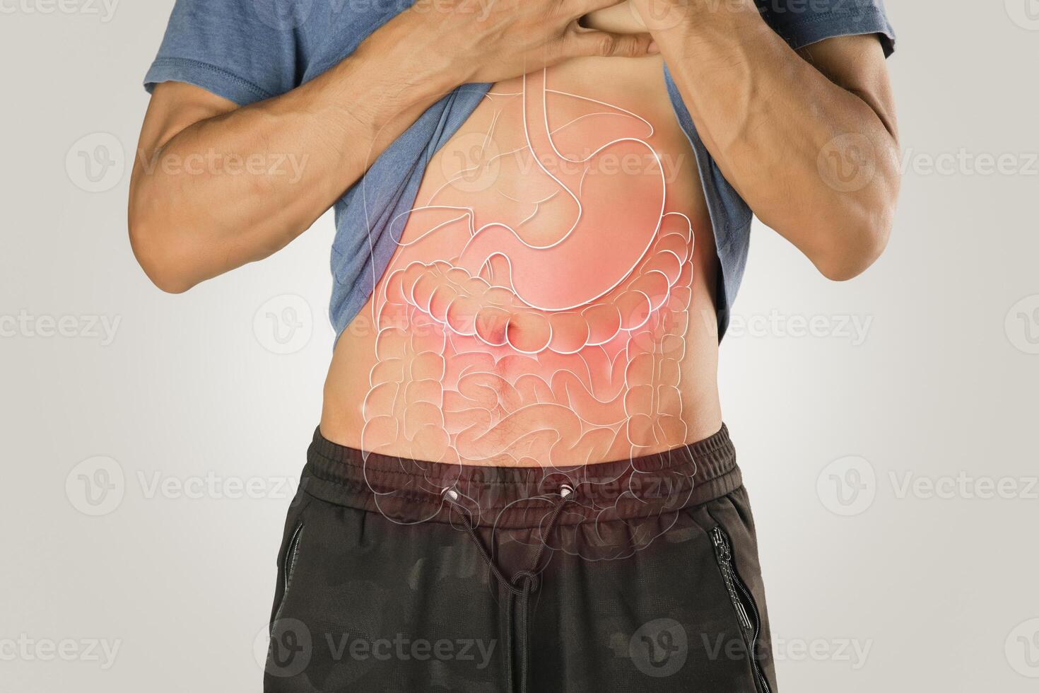 intern Organ Illustration auf das männlich Körper gegen ein Licht grau Hintergrund. foto