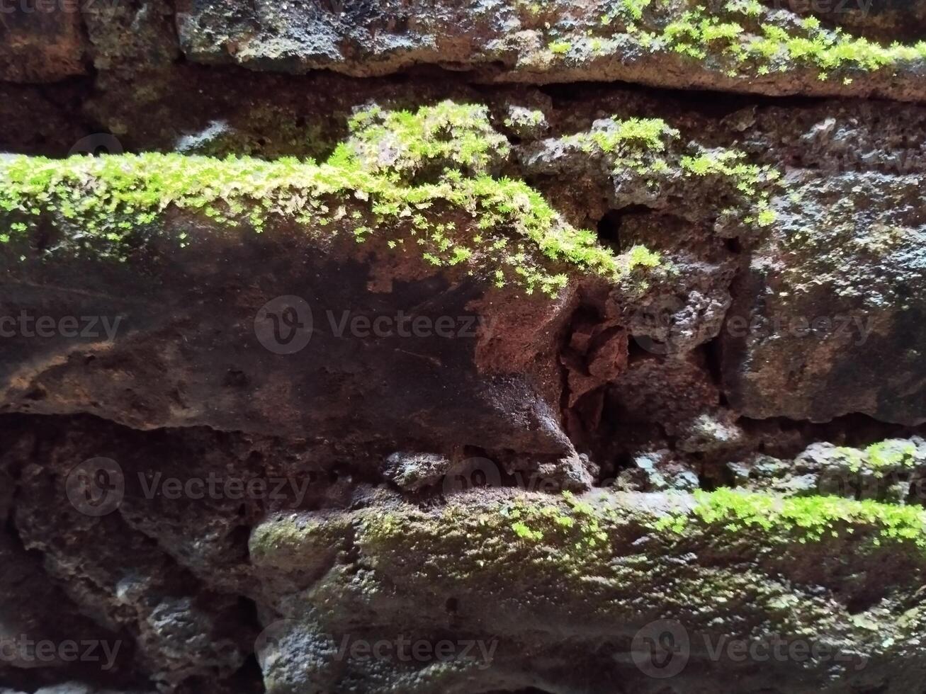 Hintergrund Foto von ein Stein Mauer und Moos auf es