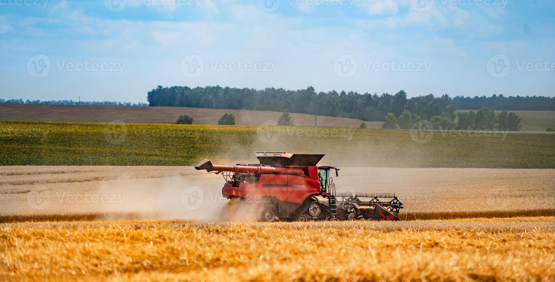 kombinieren Mähdrescher im Aktion auf das Feld. kombinieren Mähdrescher. Ernte Maschine zum Ernte ein Weizen Feld foto