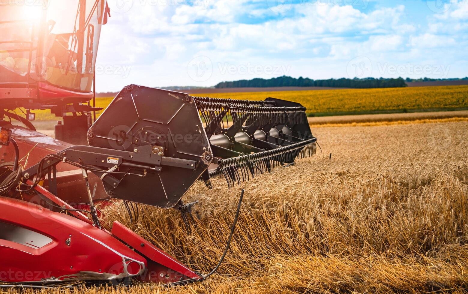 kombinieren Mähdrescher im Aktion auf Weizen Feld. Prozess von Versammlung ein reif Ernte von das Felder. Nahansicht foto