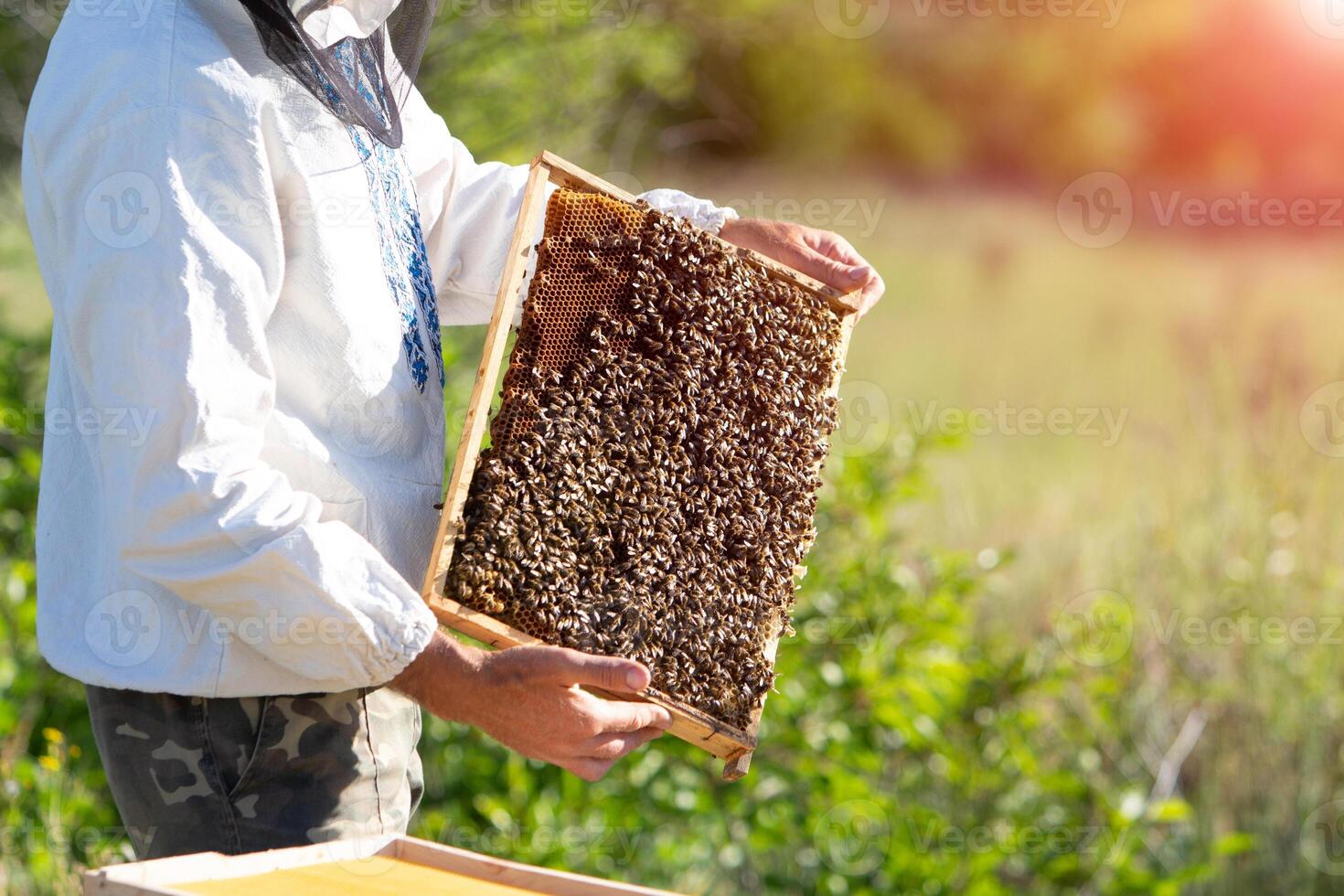 Imker beim Arbeit durch das hölzern Biene Nesselsucht. jung Farmer im seine Bauernhof foto