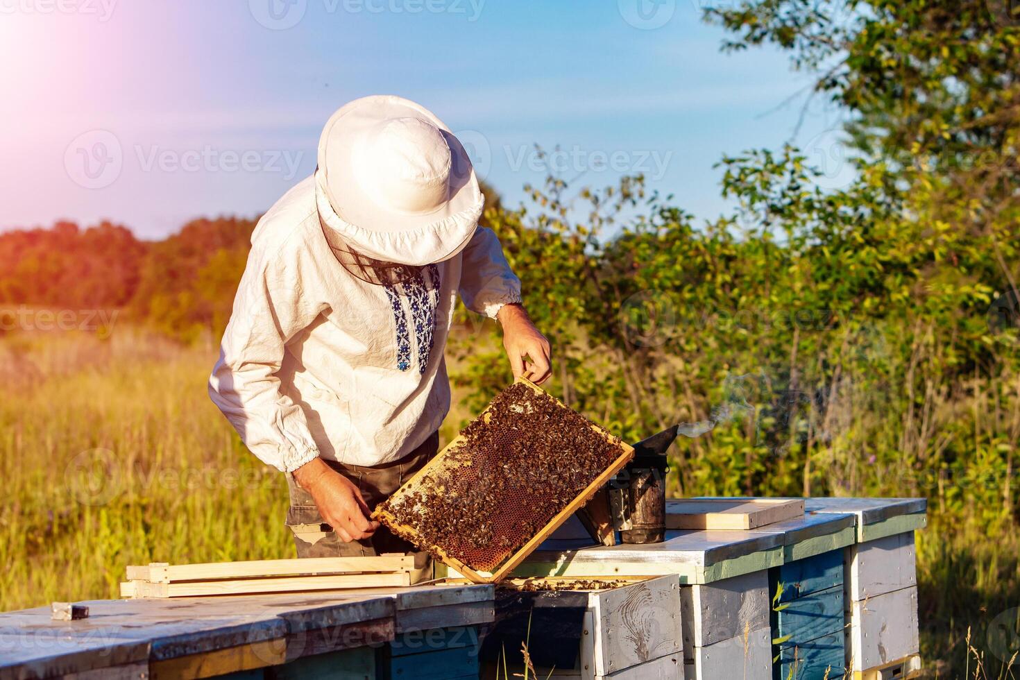 jung Imker Arbeiten im das Bienenhaus. Bienenzucht Konzept. Imker Ernte Honig foto