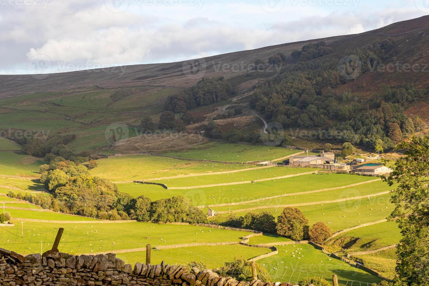 idyllisch ländlich Landschaft mit Grün Felder, Stein Wände, und ein klein Dorf eingebettet im ein Senke umgeben durch rollen Hügel im Yorkshire Täler. foto