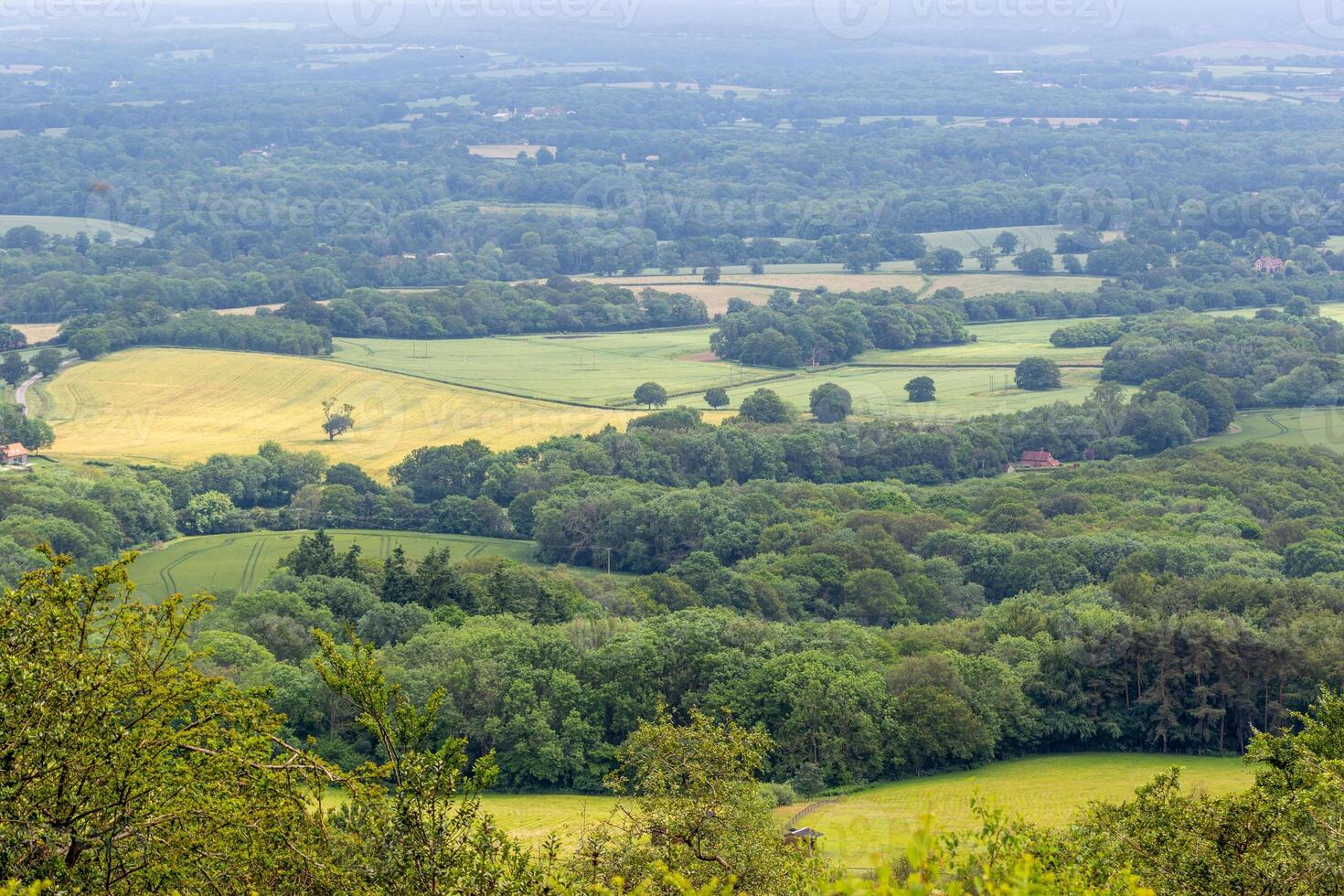 szenisch Aussicht von ein üppig Grün Landschaft mit Felder und Bäume, unter ein dunstig Himmel. foto