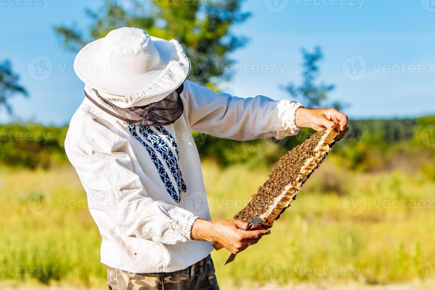 Imker ist Arbeiten mit Bienen und Bienenstöcke auf das Bienenhaus. Frames von ein Biene Bienenstock. Bienenhaus Konzept foto