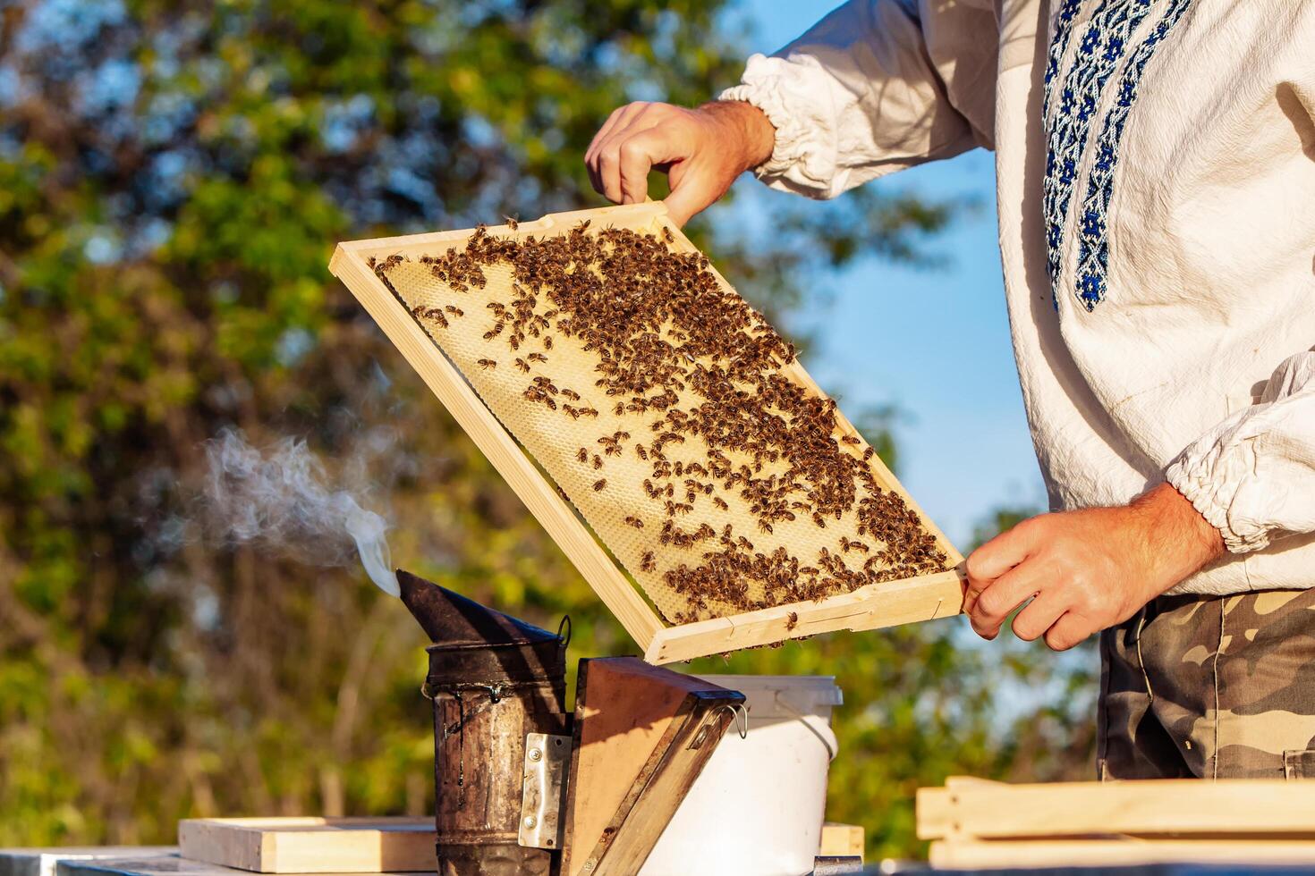 Imker halten hölzern Frames von Honig. Landwirt Arbeiten mit Bienenwachs. foto