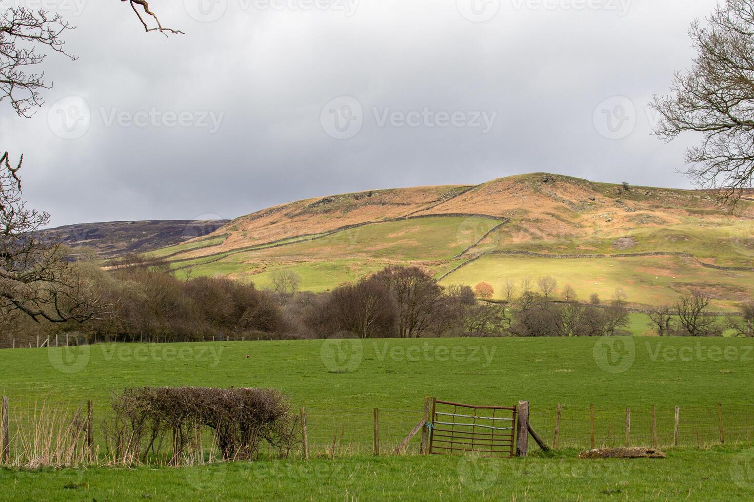 rollen Grün Hügel mit ein rustikal Zaun unter ein wolkig Himmel, präsentieren heiter ländlich Landschaft. foto