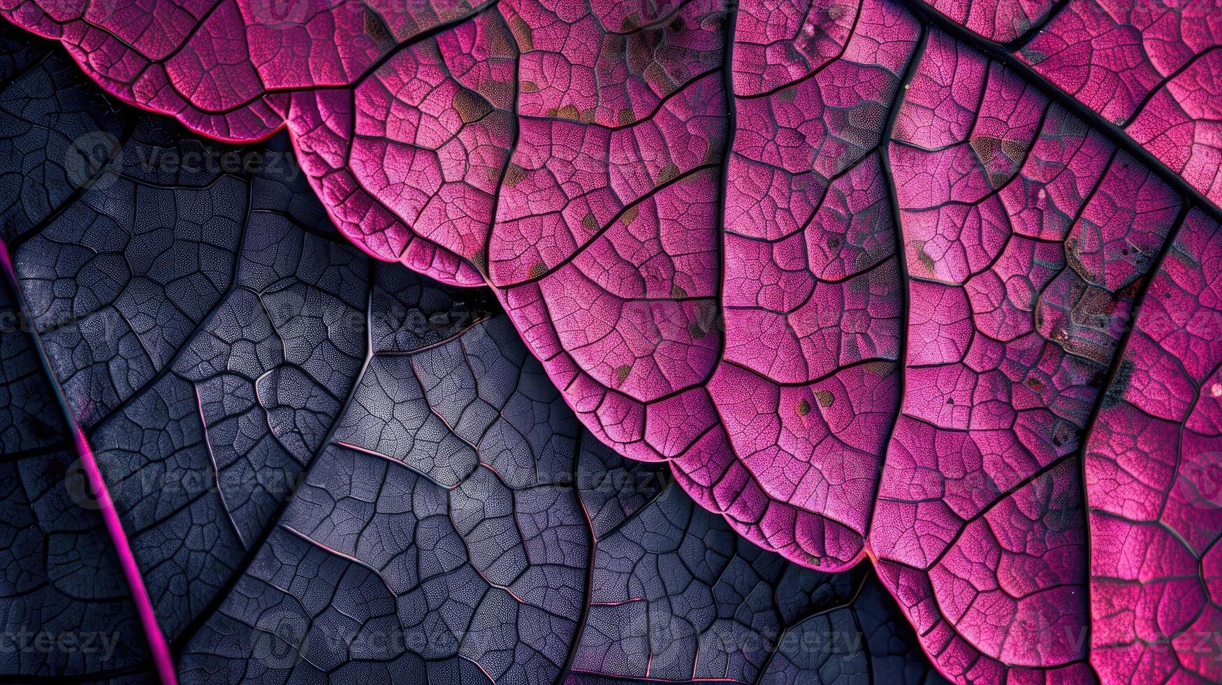 ai generiert Nahansicht von ein Herbst Blatt kompliziert Textur, präsentieren beschwingt Farbtöne. ai generiert foto