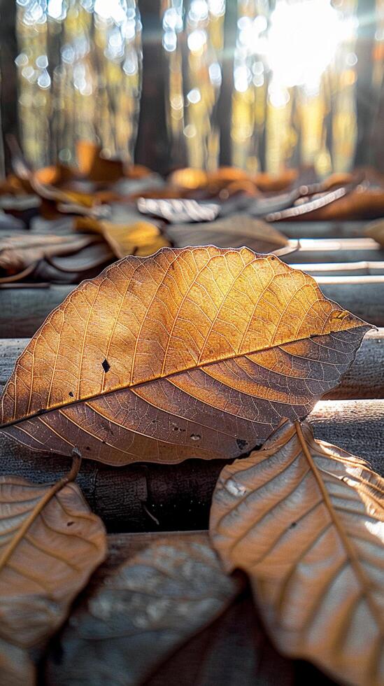 ai generiert Sonne geküsst trocken Blätter im das Morgen Licht, Naturen Herbst Charme Vertikale Handy, Mobiltelefon Hintergrund foto