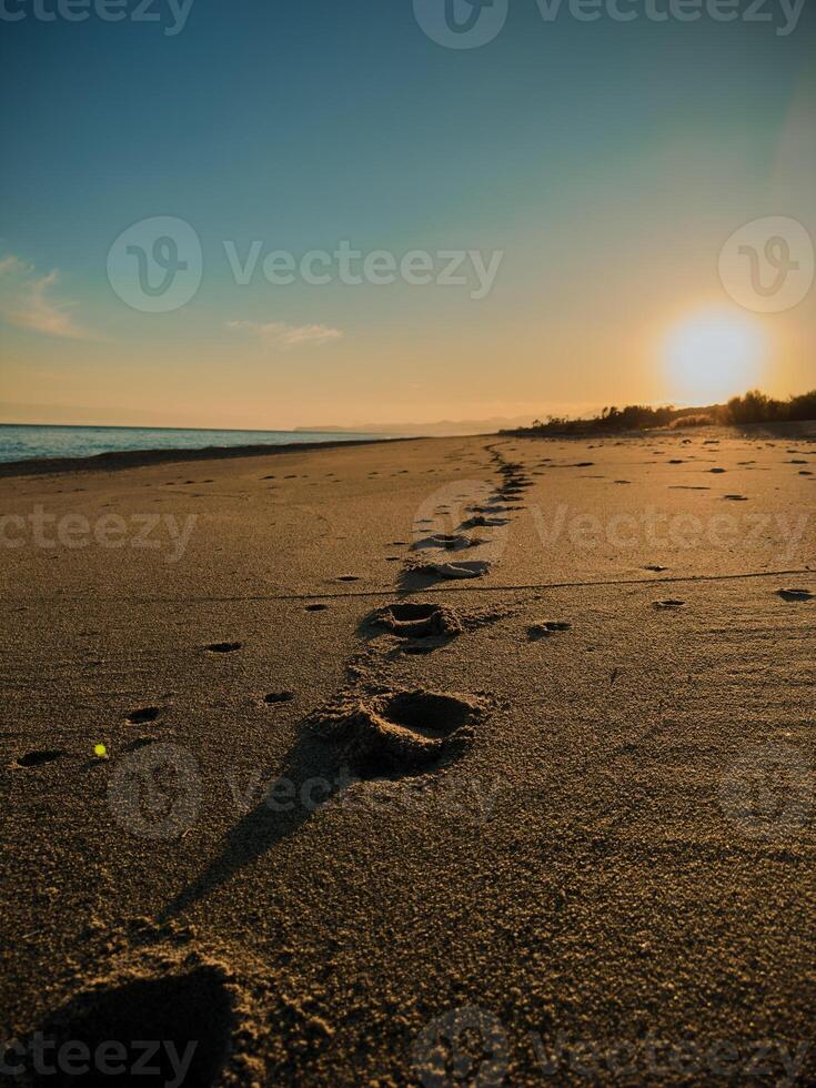 Fußabdrücke auf das Strand beim Sonnenuntergang foto