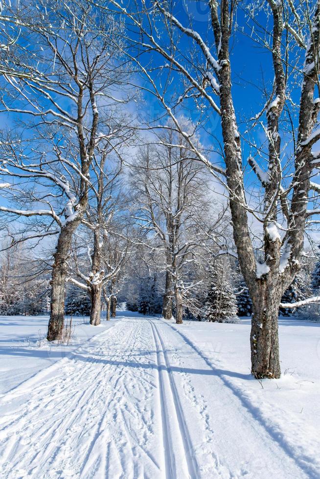 Langlaufloipe auf einer Winterstraße durch eine verschneite Landschaft 2 foto