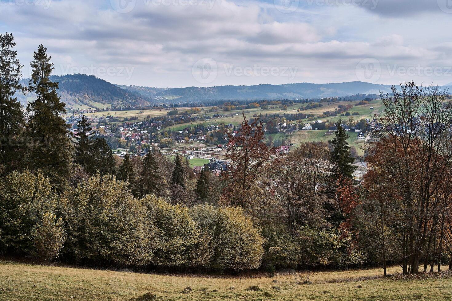 Aussicht von das Berg Stadt, Dorf Zakopane von über foto