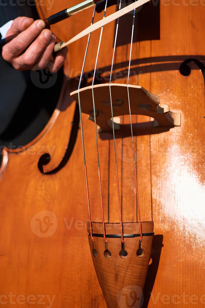 das doppelt Bass Saiten Besetzung ein Schatten auf das glatt Oberfläche von das Instrument foto