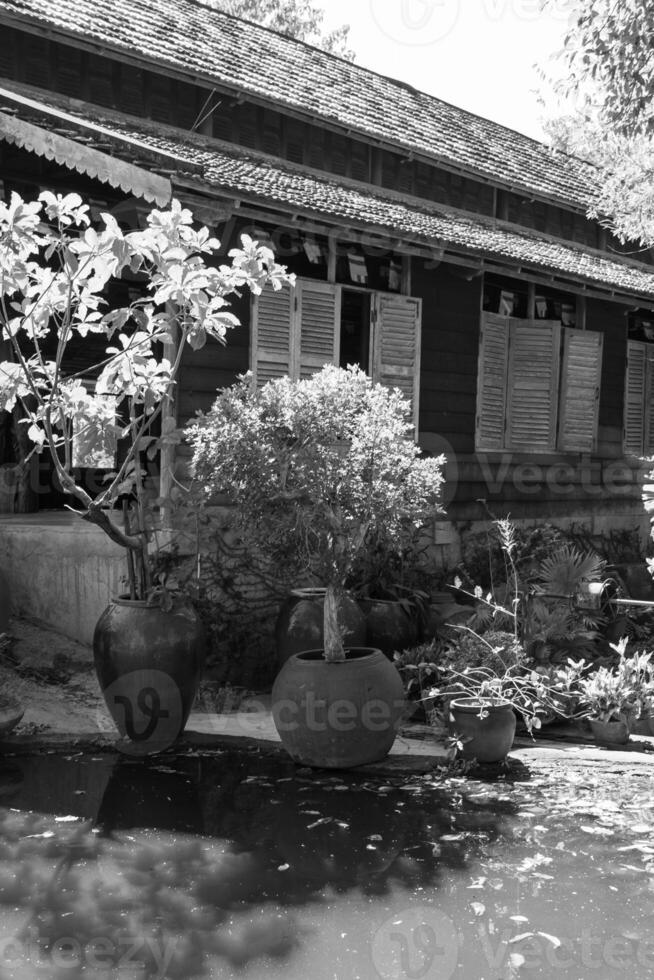 Vietnam im Asien foto