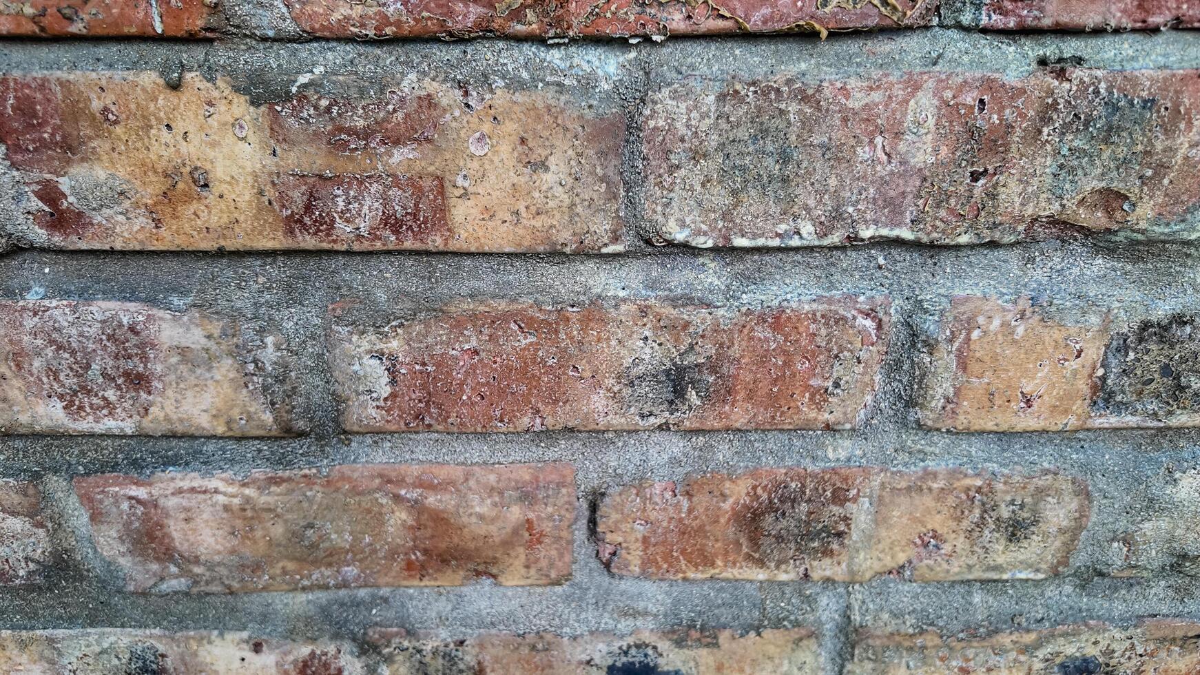 texturiert rot Backstein Mauer mit Ausblühungen foto