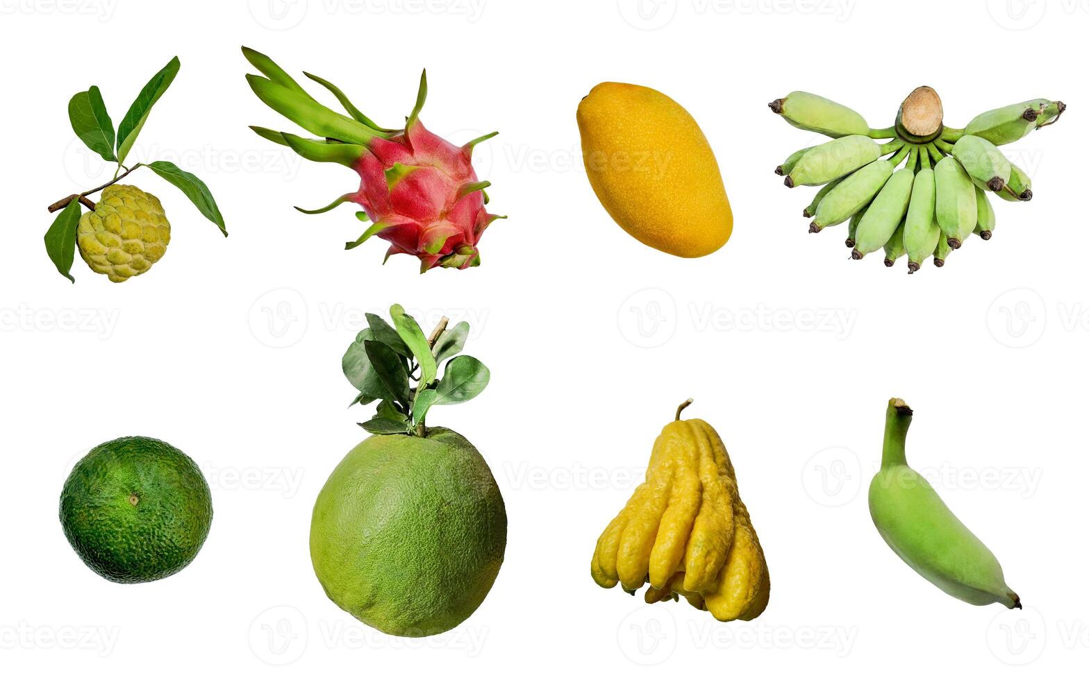 tropisch Obst Vielfalt isoliert mit Kopieren Raum foto